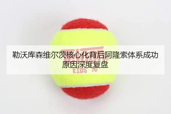 勒沃库森维尔茨核心化背后阿隆索体系成功原因深度复盘（kaiyun）